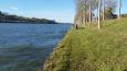 IMG-20181118-WA0007