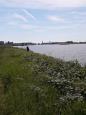 IMG-20190602-WA0013